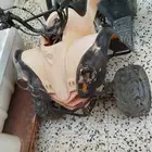 دباب