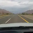 ونيت من ينبع لنقل شحنتك للعلا