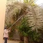 نقوم برش انخيل من الغبير