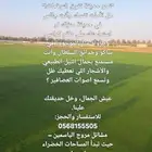 لاتفوتك صيانة الحدائق معنا