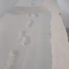 يوجد رمل ابيض بطحة تيماء حمول فل بطحه نضيف ناعم و خشن