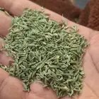 قهوه قشر شعير بر دخن ذره حمرا صفرا بيضا
