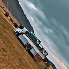 دينا ونش لي نقل الابل والبضائع والمكاين