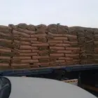 نجيل طيبعي سي الفينc2000 تبوك