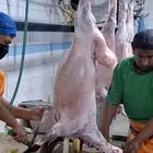 هرفي نعيمي أو هرفي حري ثلاجة أو مفطح 1650 توصيل مجانا