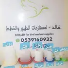 سقايات دواجن حمام صوص