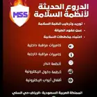 أنظمة السلامة