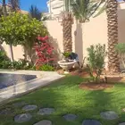 نخل للبيع جده مكه المكرمه الطايف