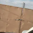 توريد وتركيب الشبوك ونخل الزينة
