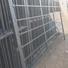 شبوك أبل وغنام