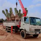 ابوعلي مختص في زرعت انخيل وزيتون الغلا