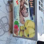 ثلاجه ايسكريم نظيفه