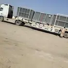 لوبد في جده طول 20 متر يبحث عن حموله