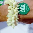 فل زهور الرياض