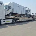 لوبد متواجد في المدينه المنوره وما حولها طول 20متر