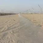 مقاول شبوك