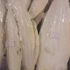 تم البيع عظم حبار لجميع انواع الطيور