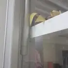 صيانه مطابخ