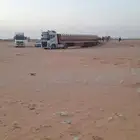 نقل الهجن وابل