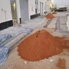 الرياض