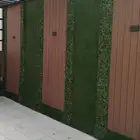 تنسيق حدائق