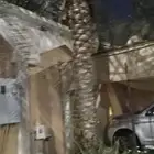 نخلتين مثمرة صدقة عن امي الله يرحمها اللي يبغاها يكلمني