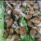 حلزون أفريقي