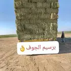 السلام عليكم ورحمه الله وبركاته برسيم صافي