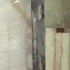 صدام دينا