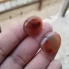 لايوجد توصيل التفاصيل على الخاص