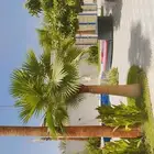 تنسيق حدائق زراعية الرياض  زراعه المسطحات وعمل تنسيقات منزل
