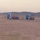 جوانب عاليه نقل الإبل والهجن 16 متر مفروش سبت وعقل موجود
