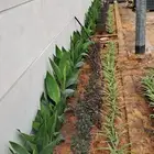 تنسيق حدائق