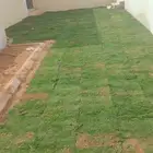 ثيل سي 2000 صافي وطبيعي درجة اوله يوجد تركيب وتوريد داخل الر