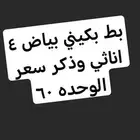 بط بكيني بياض للبيع 4 اناثي وذكر سعر الوحده 60