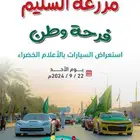 مصمم جرافيك