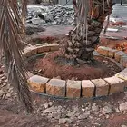 احواض حجر احواض نخيل