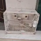 للبيع قفص على اعل سومه الموقع الأحساء الجفر