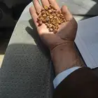 قشر بن ذهبي اصفر ذهب