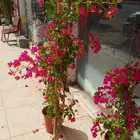 جهنميات بجميع انواعهن نوصل لا كامل مناطق الرياض