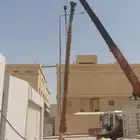 نخل واشنطونيا
