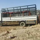 الرياض