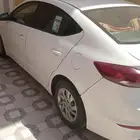 كداد ماشي للوادي الدواسر