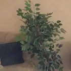 شجرة صناعية