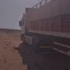 تريله تحميل ابل وحلال