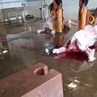 حاشي لباني