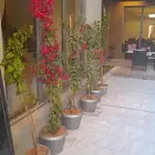 جهنميات بجميع انواعهن نقوم بتوصيلهن في كامل مناطق الرياض