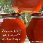 نحال