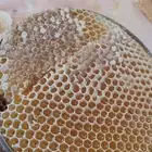 عسل سدر جرداني رقم 1
