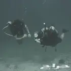 دورات غوص وسباحة معتمدة جازان